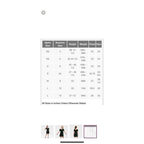 Wicked Elphaba Large 10-12 Dress Universal Studios Green Black - Picture 3 of 7